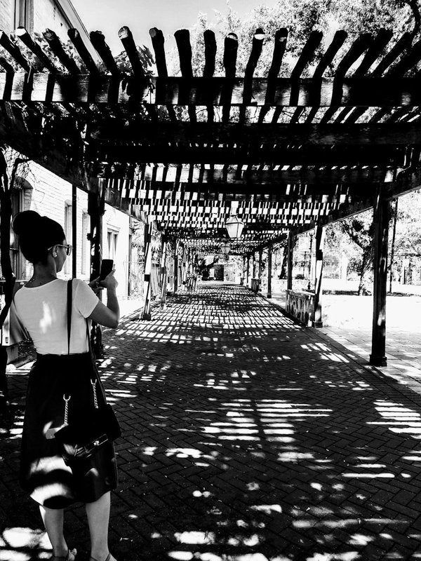 Comment installer efficacement une pergola en kit ?